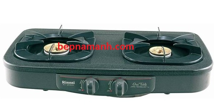 be1babfp20ga20rinnai20rv-2kegsv