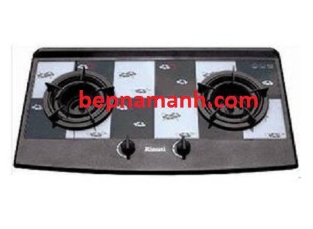 bep-ga-rinnai-rvb-2gif-pe