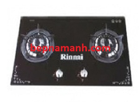 bep-ga-rinnai-rvb-2gschott-g