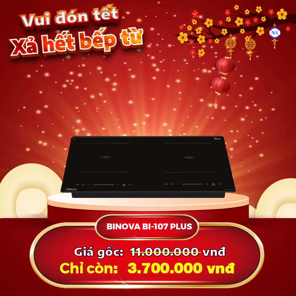 Bếp từ Binova BI-107Plus