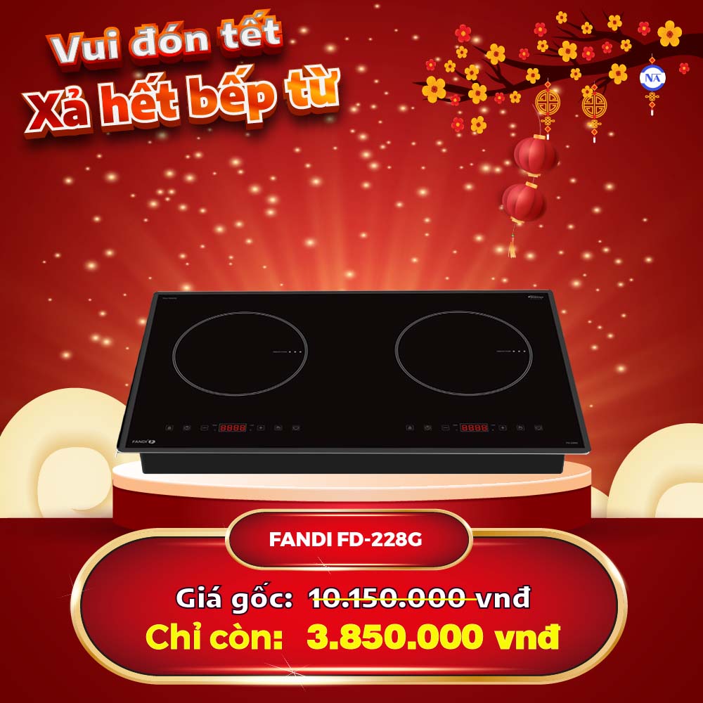 Bếp từ Fandi FD-228G