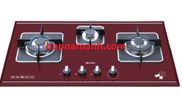 large_12_2012_1314_bep-gas-am-malloca-as-9403r