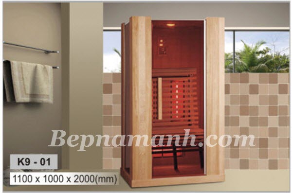 phong-xong-hoi-govern-k9-r01